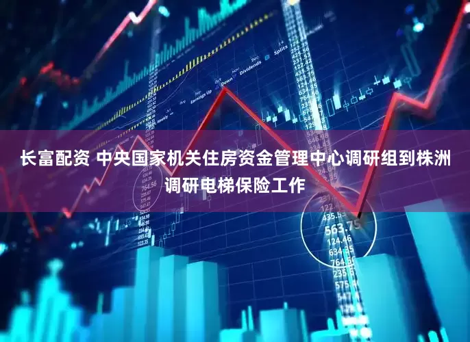 长富配资 中央国家机关住房资金管理中心调研组到株洲调研电梯保险工作
