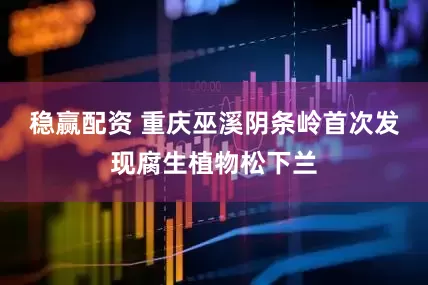 稳赢配资 重庆巫溪阴条岭首次发现腐生植物松下兰