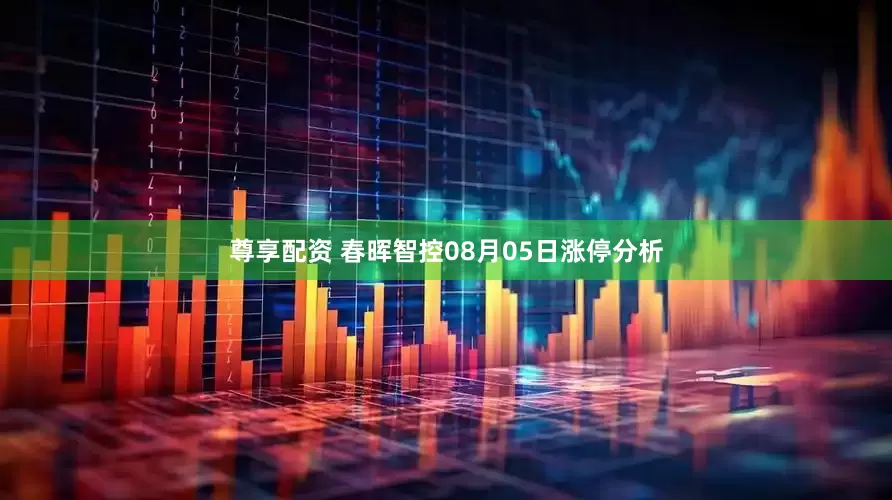尊享配资 春晖智控08月05日涨停分析