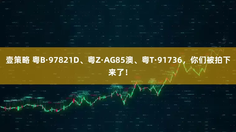 壹策略 粤B·97821D、粤Z·AG85澳、粤T·91736，你们被拍下来了！