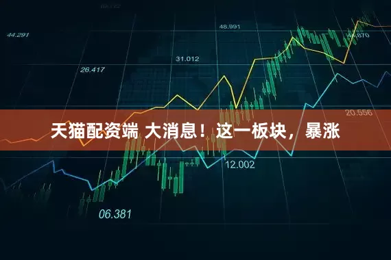 天猫配资端 大消息！这一板块，暴涨